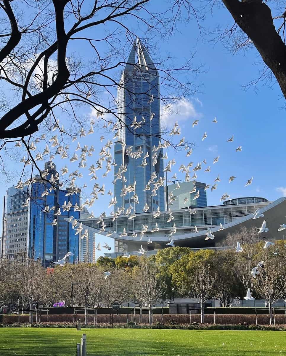 People’s Square People’s Square