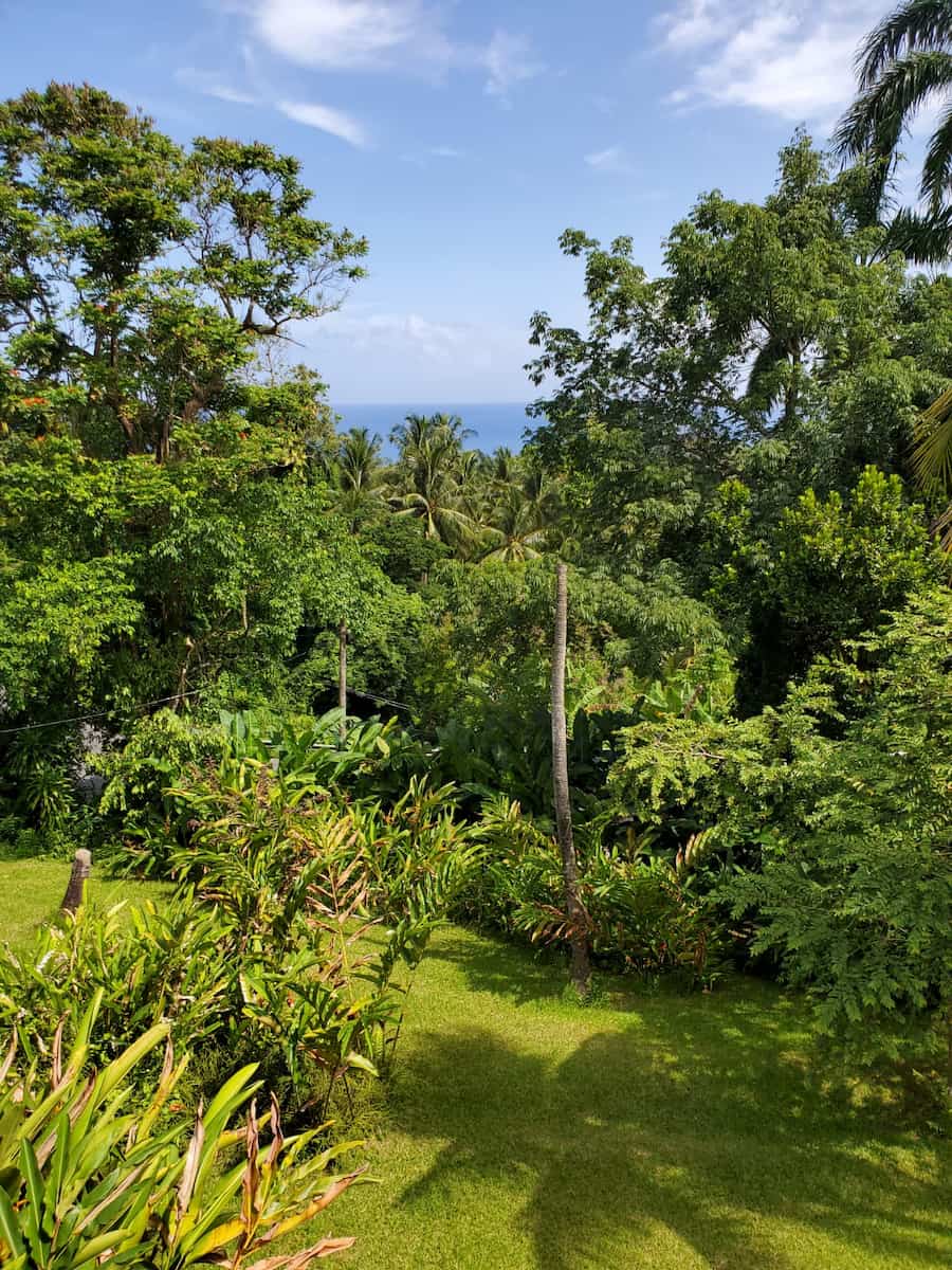 Port Antonio, Jamaica Port Antonio, Jamaica