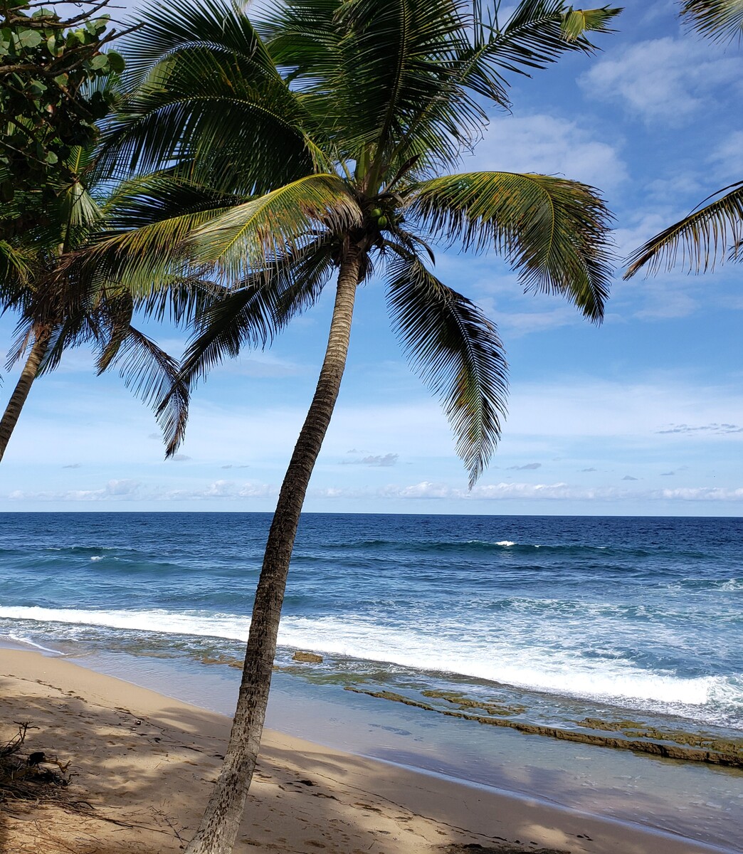 Dorado, Puerto Rico Dorado, Puerto Rico