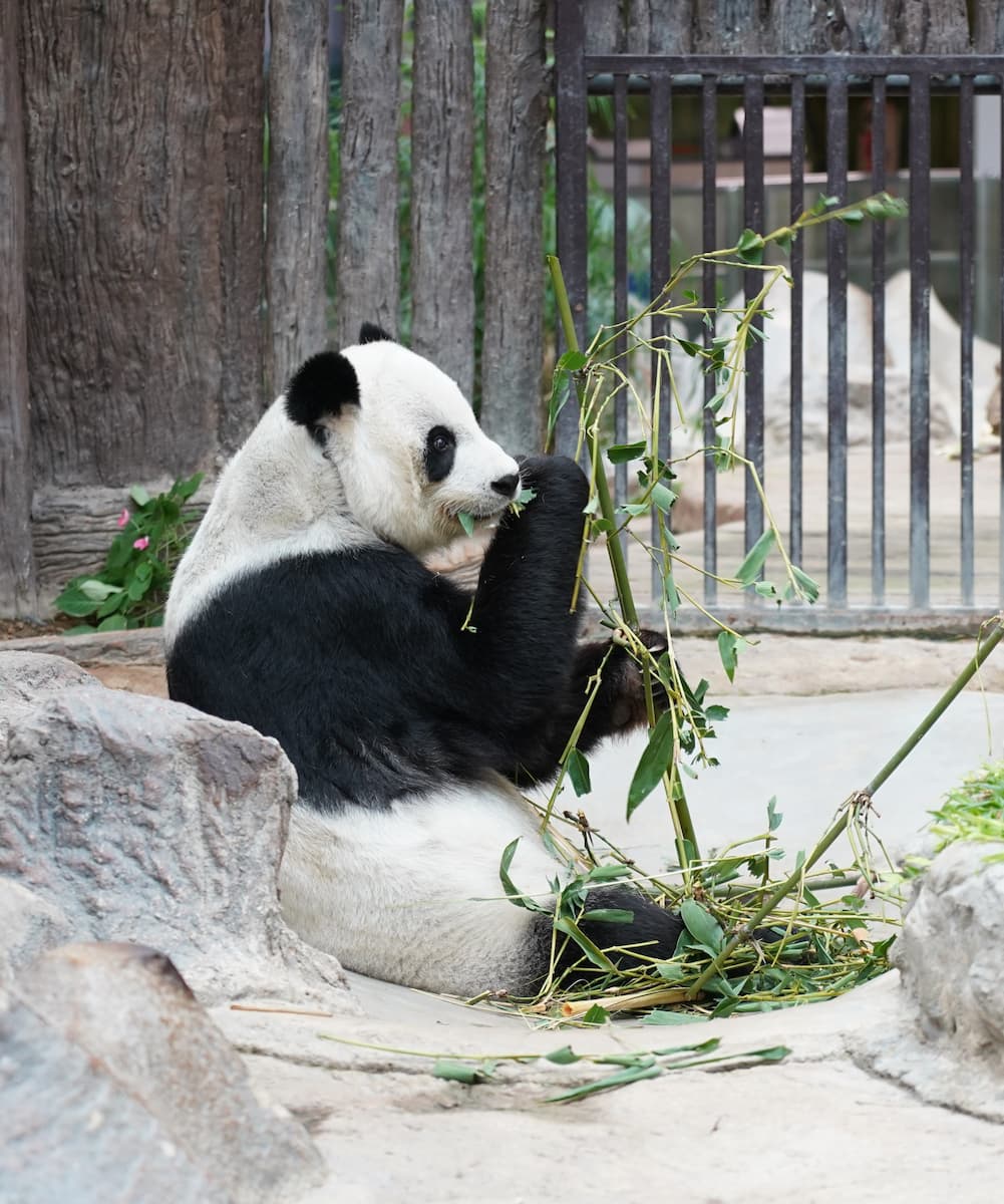 Riverside, Chiang Mai Riverside, Chiang Mai