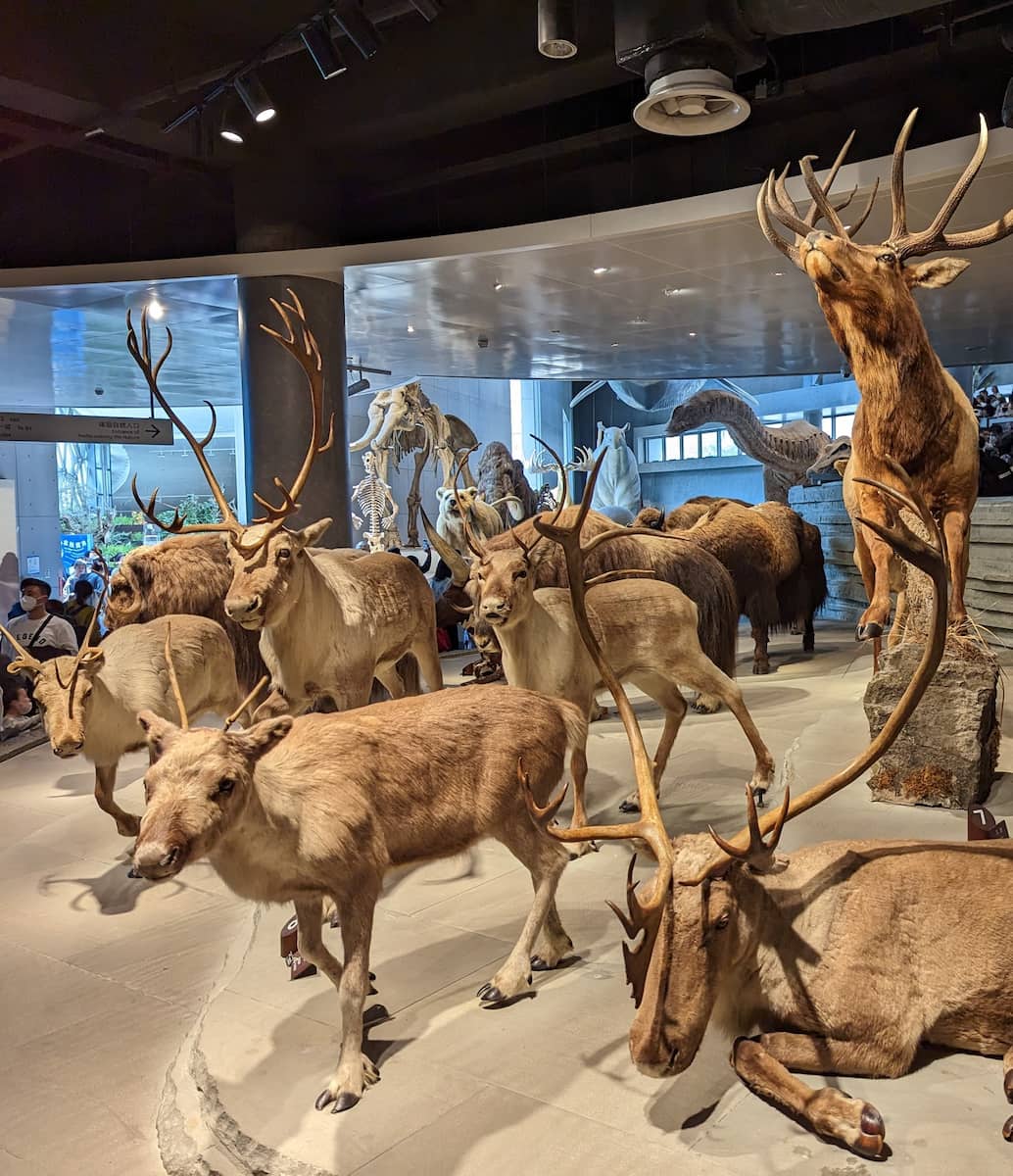 Shanghai Natural History Museum Shanghai Natural History Museum