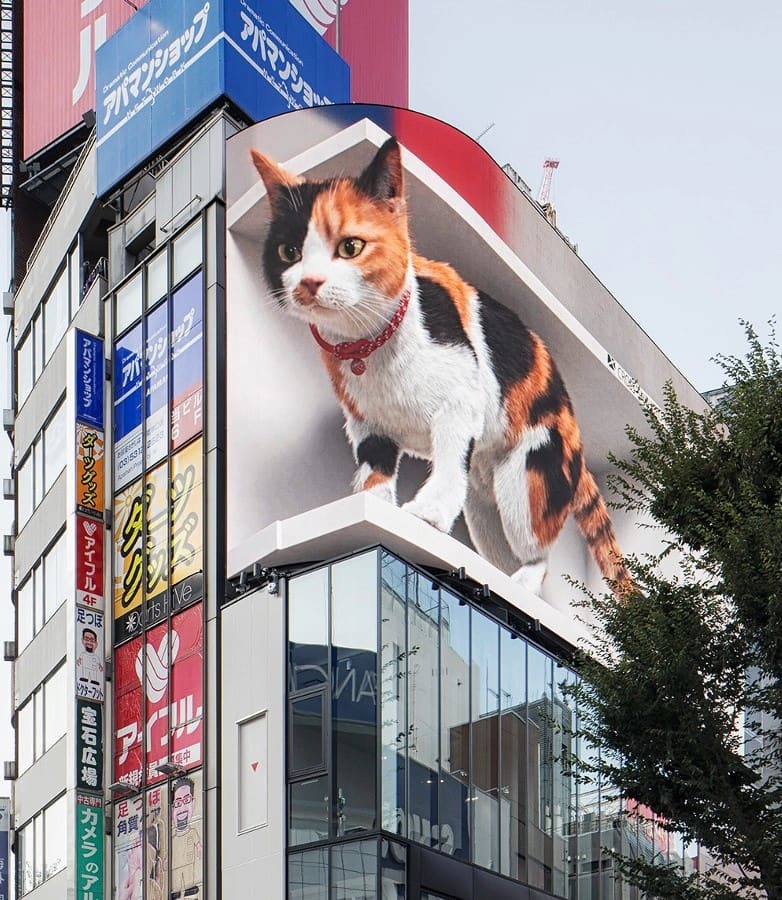 Shinjuku_4 Central Shinjuku, Tokyo