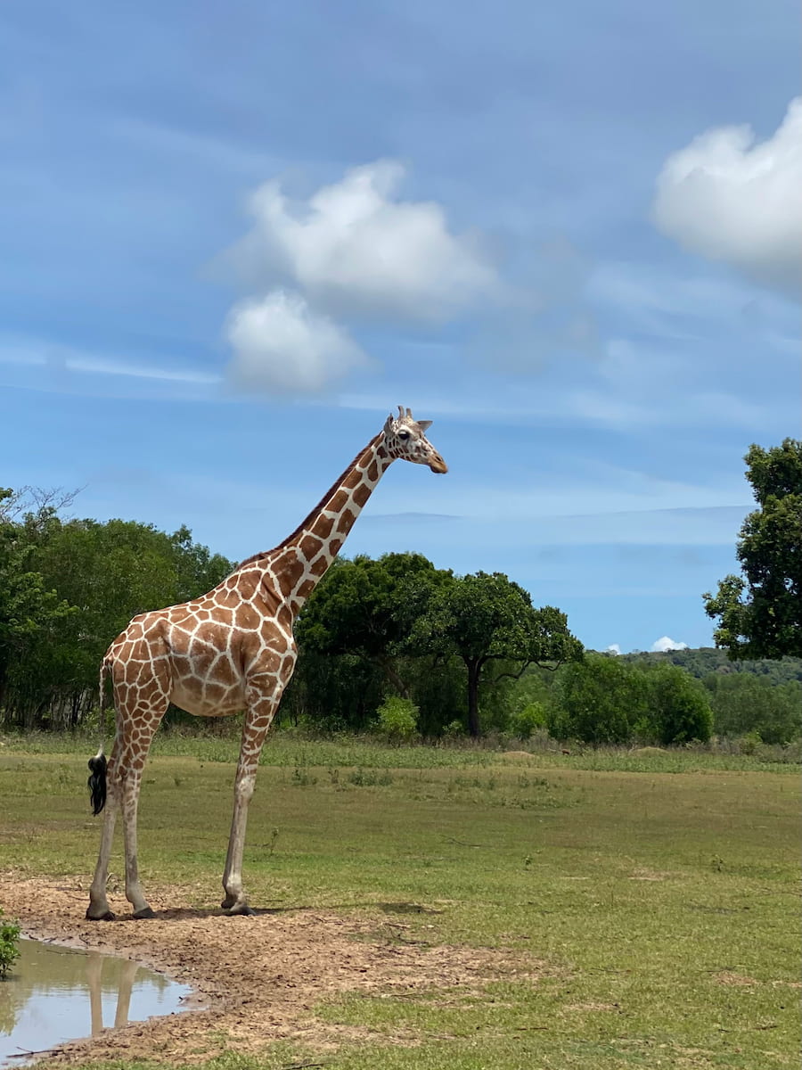 Busuanga, Palawan Busuanga, Palawan