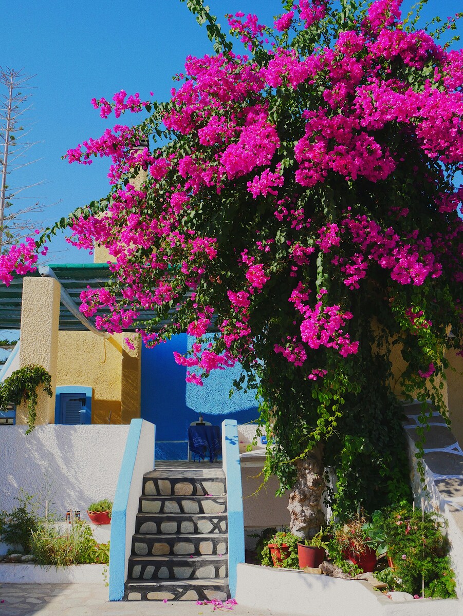 Naoussa, Paros Naoussa, Paros