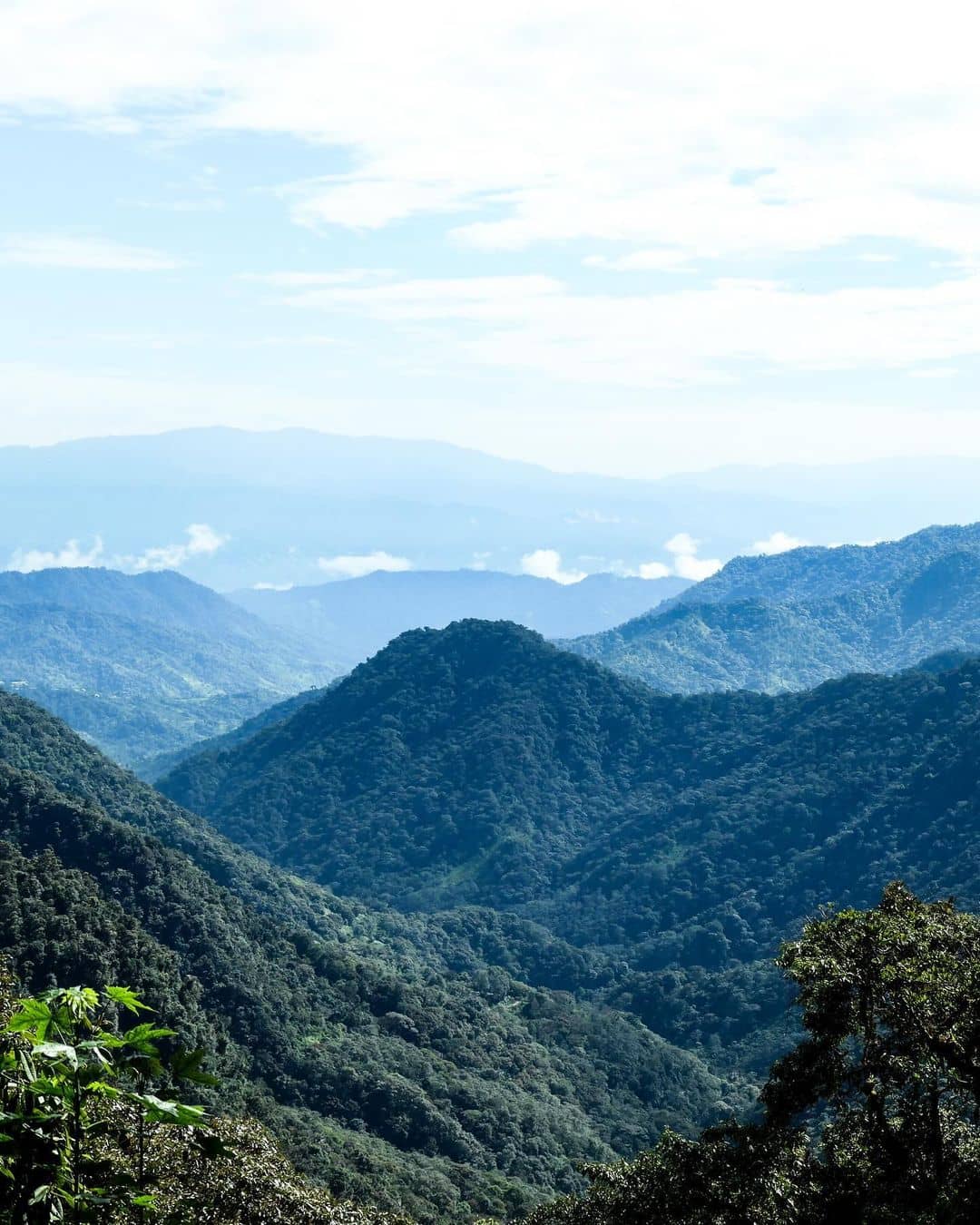 Bellavista Cloud Forest