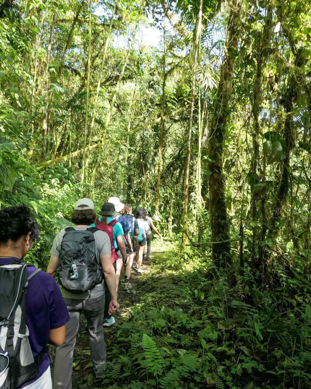 Bellavista Cloud Forest