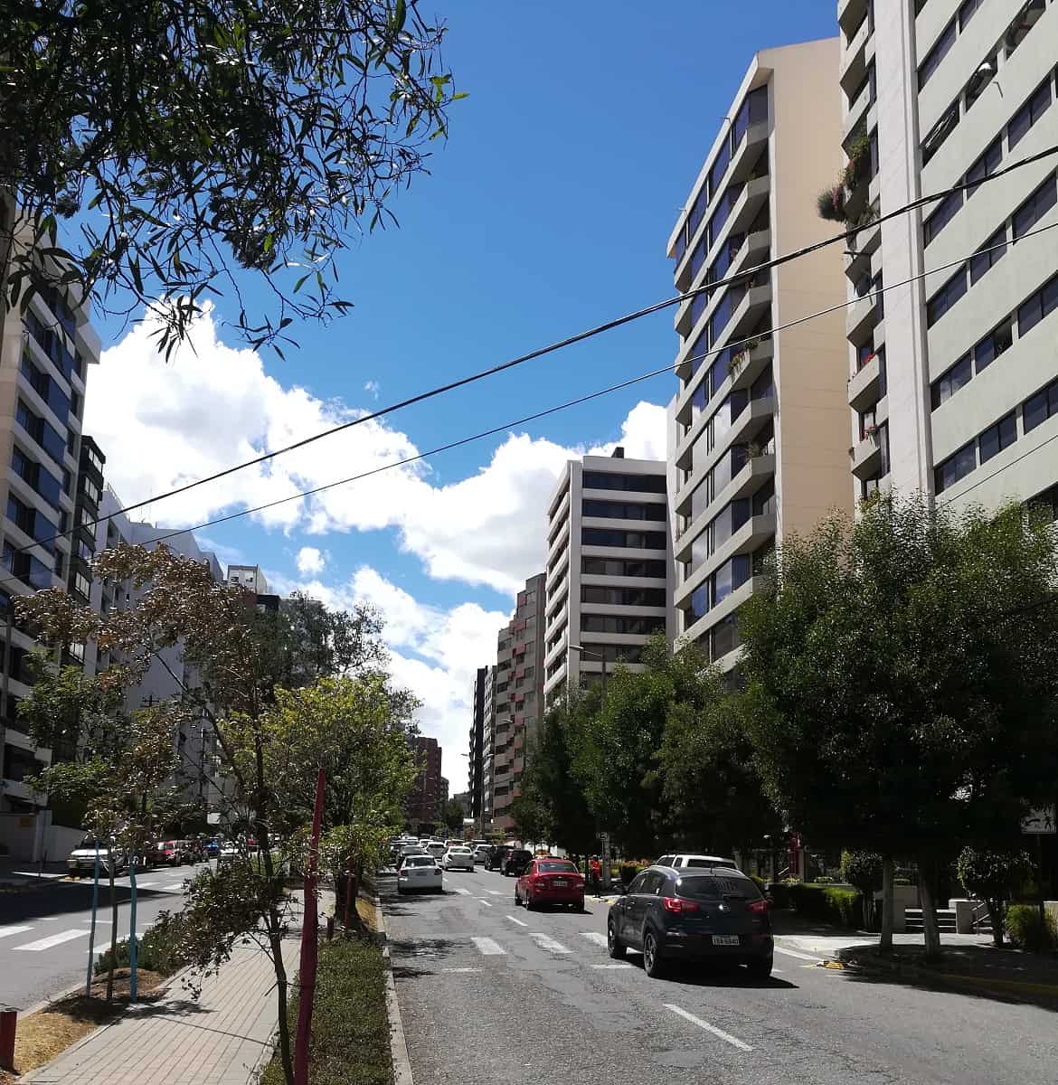 González_Suárez3 Gonzalez Suarez3