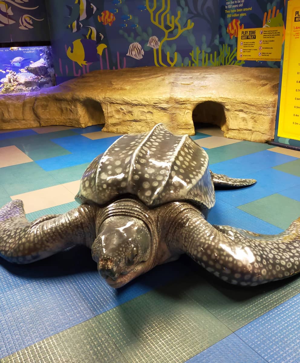 SEA LIFE Kelly Tarlton’s Aquarium SEA LIFE Kelly Tarlton’s Aquarium