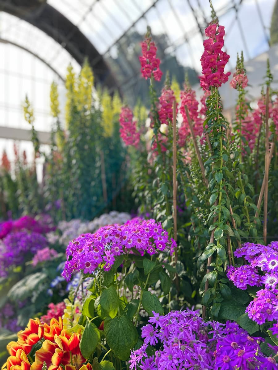 Parnell, Auckland Parnell, Auckland