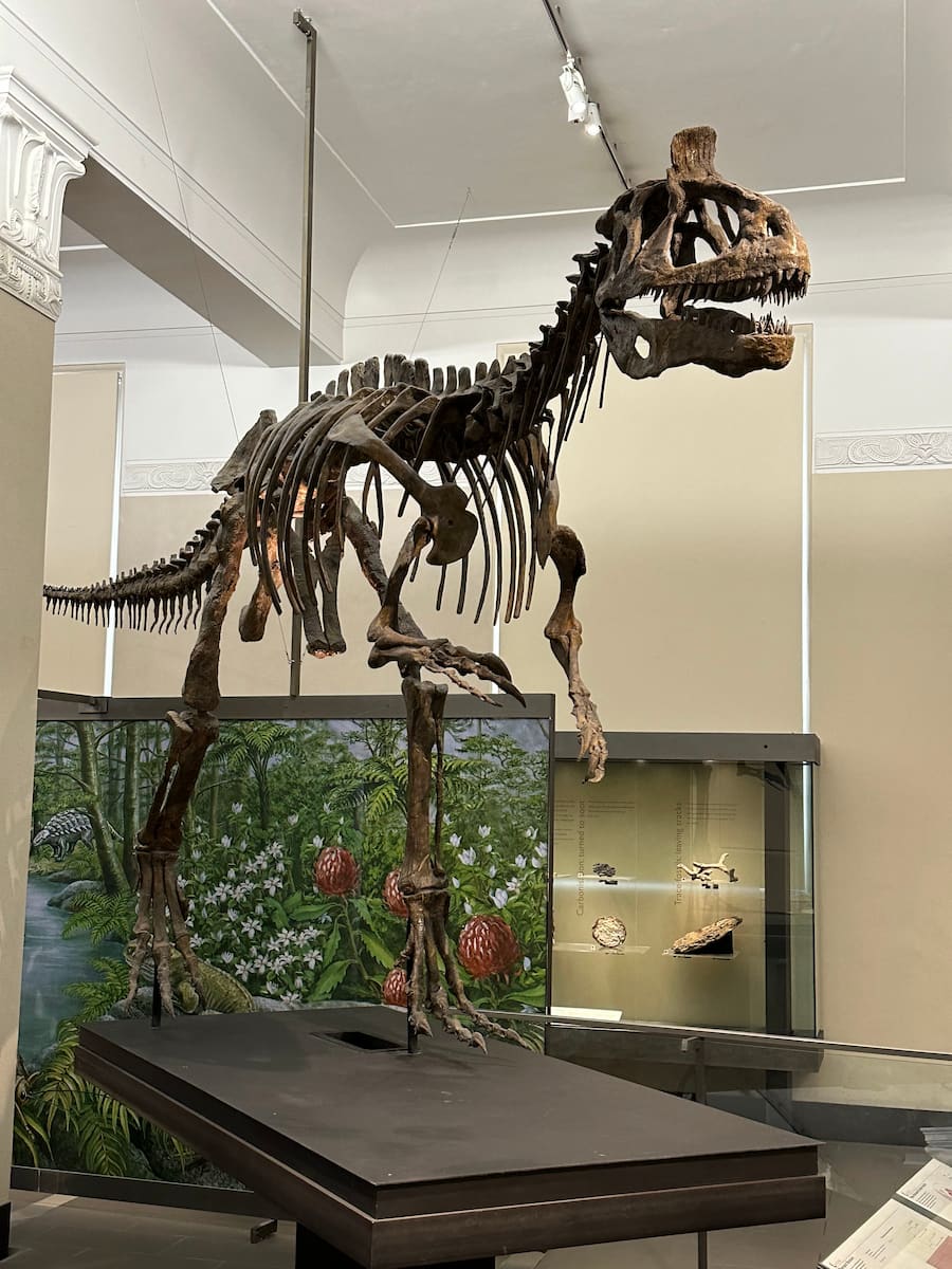 Parnell, Auckland Parnell, Auckland