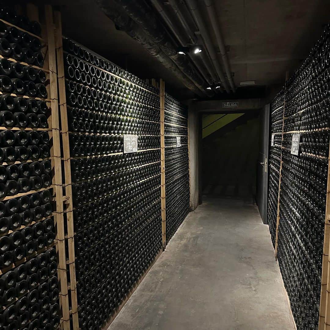 Pulenta Estate Winery