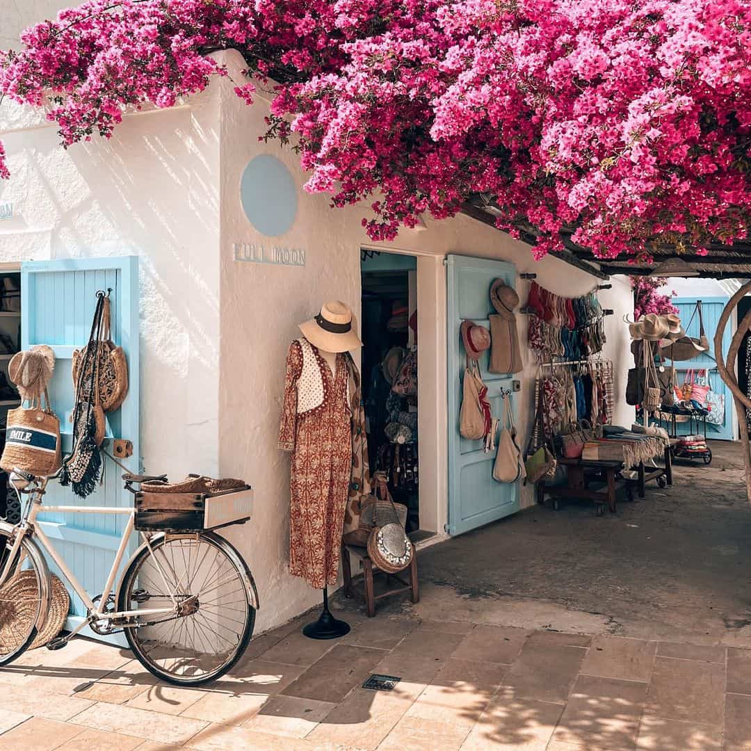 Sant Francesc Xavier