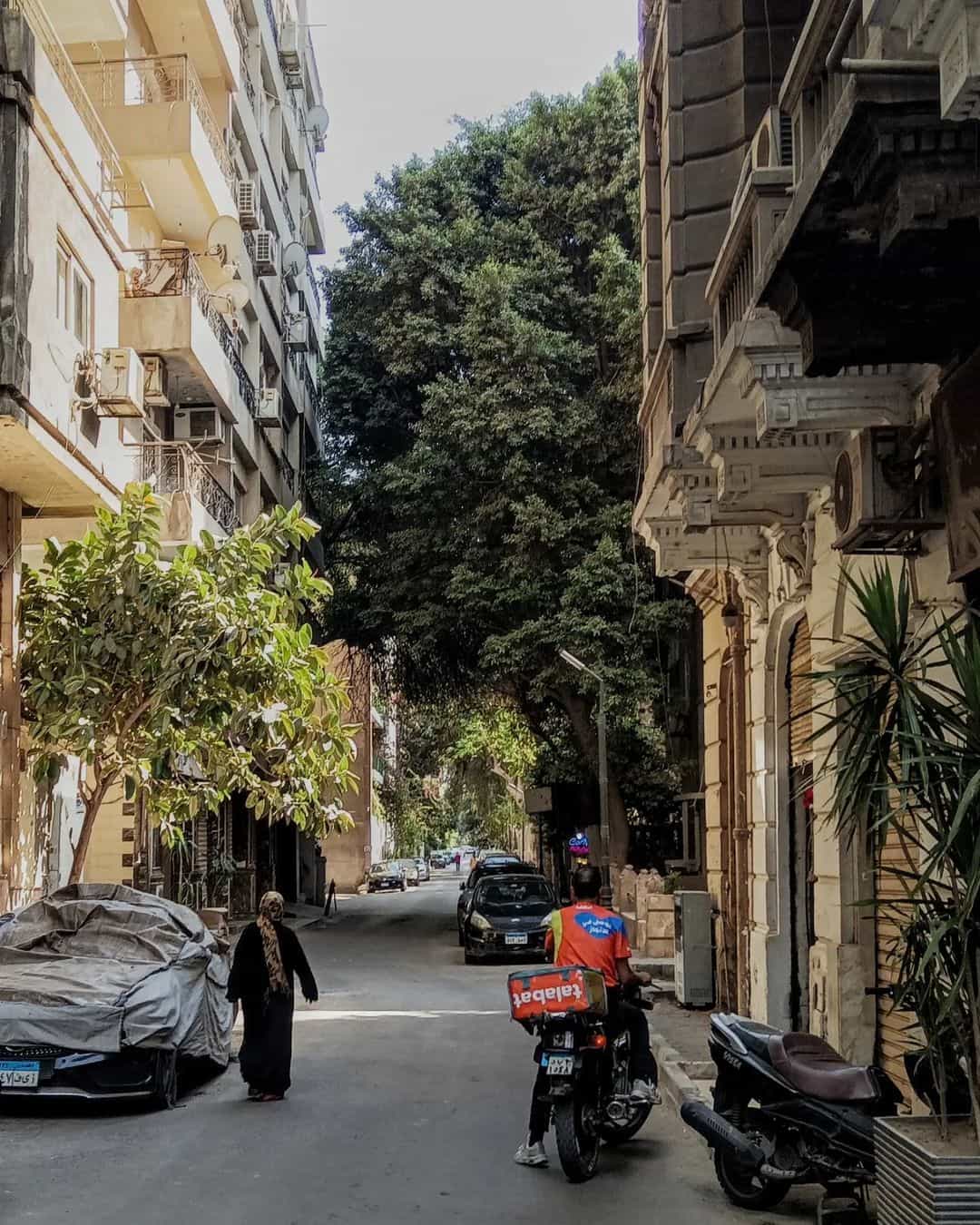 Zamalek