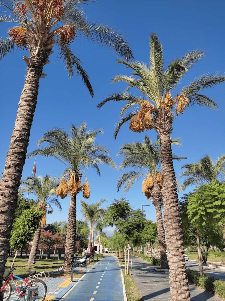 Lara Beach, Park Lara Beach, Park