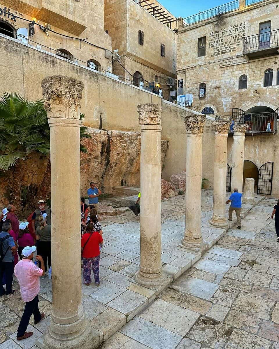 Cardo Street Cardo Street