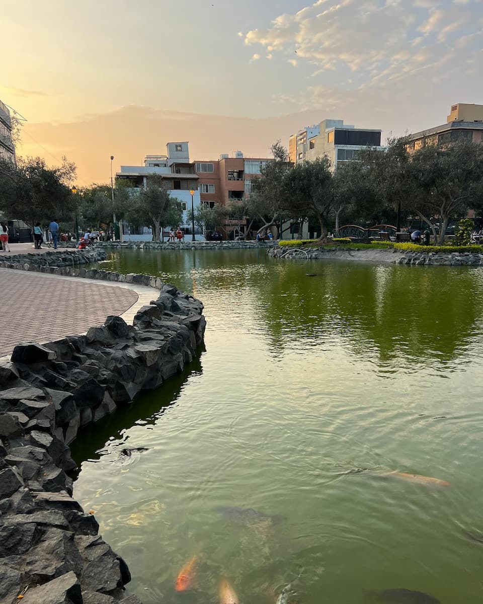 El Olivar Park, Lima El Olivar Park, Lima