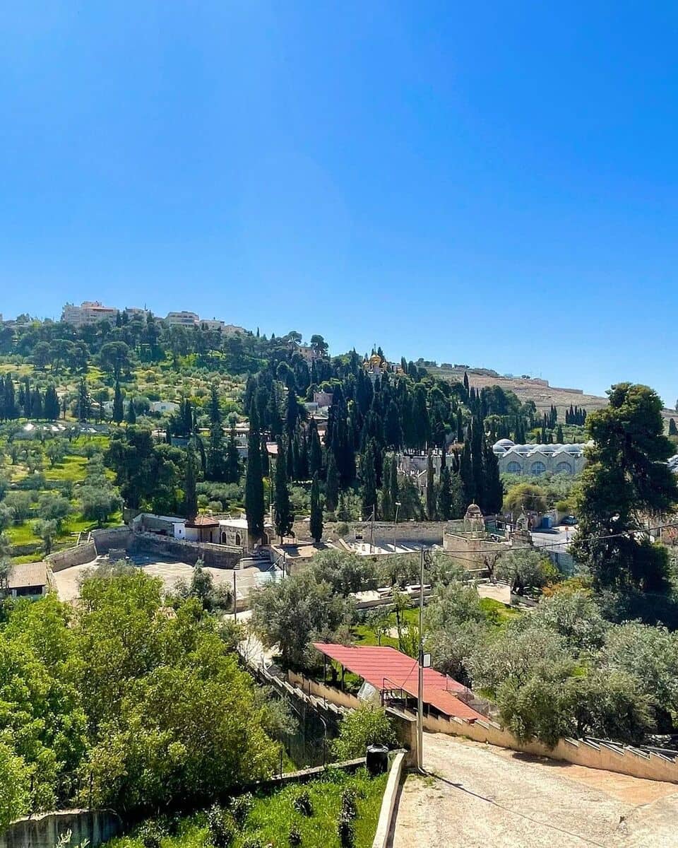 Garden of Gethsemane Garden of Gethsemane