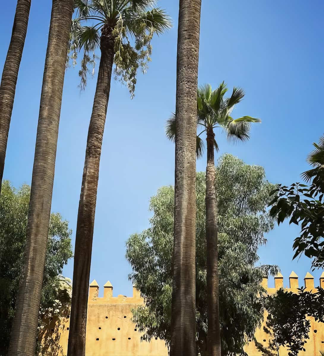 Jardin Jnan Sbil Jardin Jnan Sbil