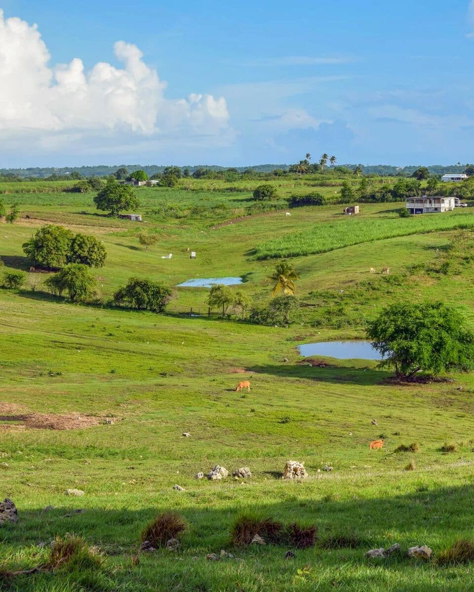 Marie-Galante Marie-Galante