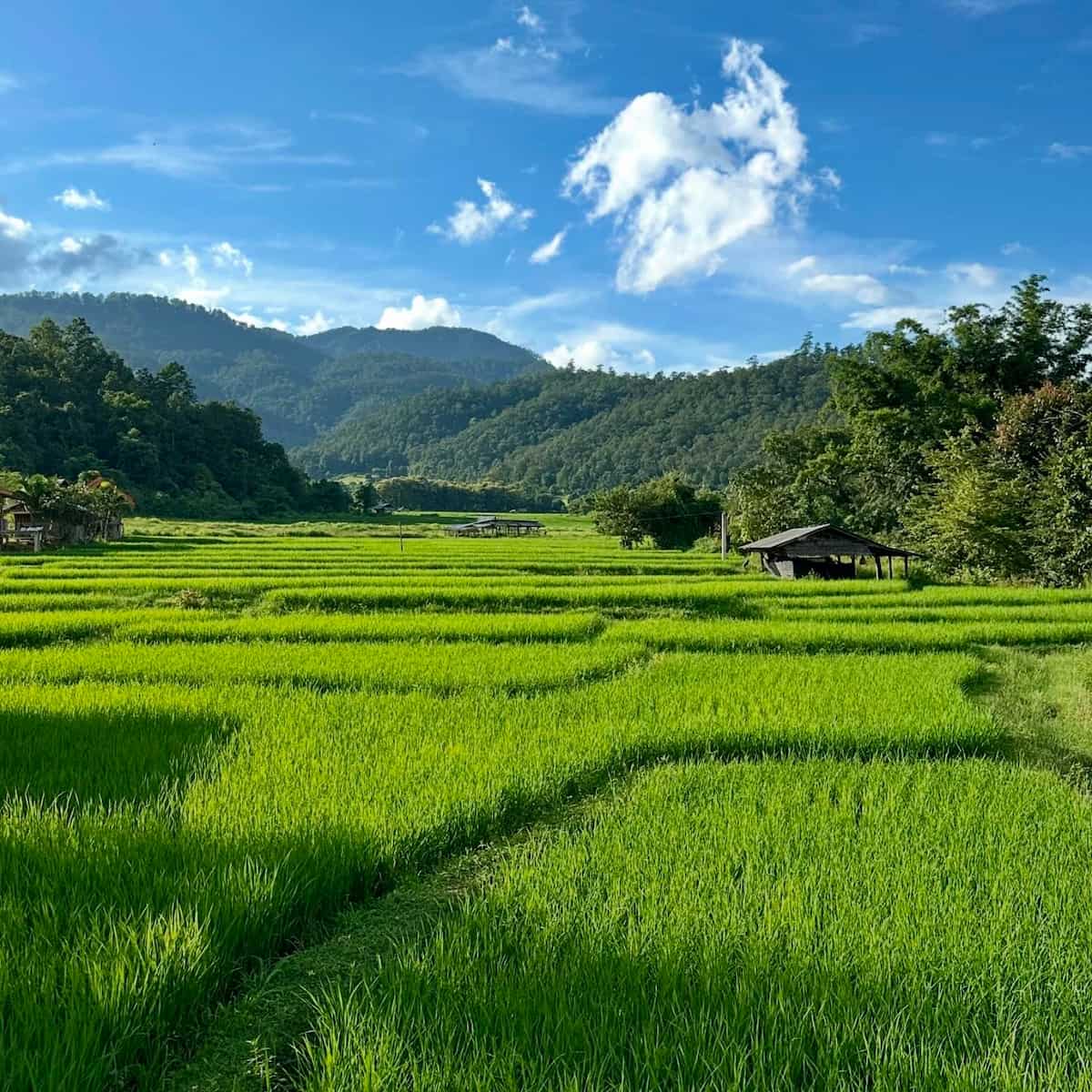 Pai_Thailand_7 Pai Thailand 7 2