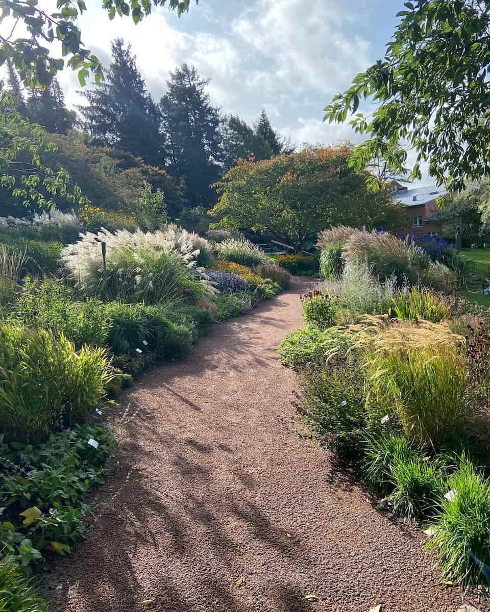 Slottsskogen Slottsskogen