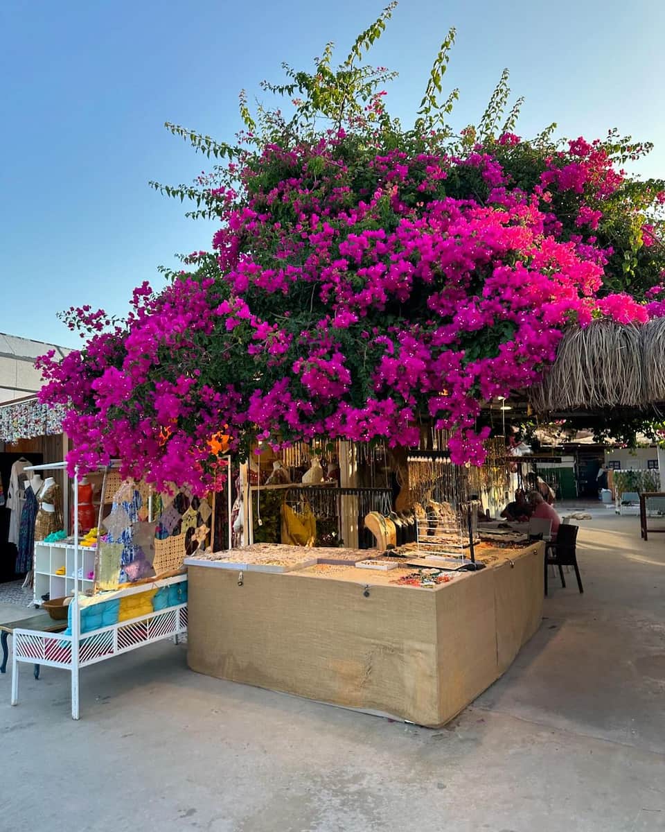 Turkbuku Boardwalk Turkbuku Boardwalk