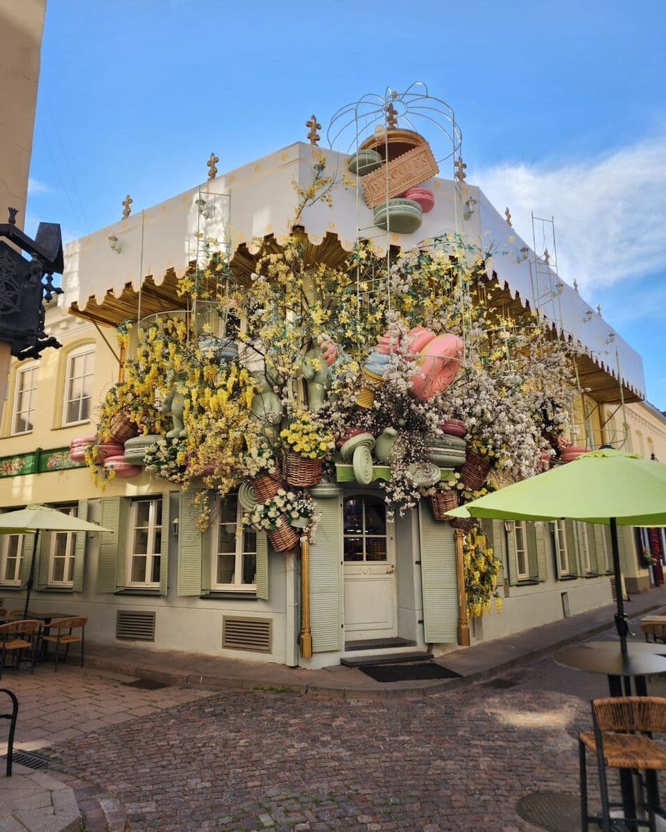 Vilniaus, Užupis Vilniaus, Užupis