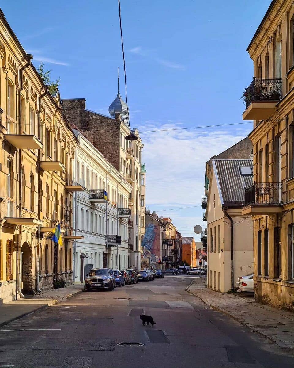 Vilnius, Naujamiestis Vilnius, Naujamiestis