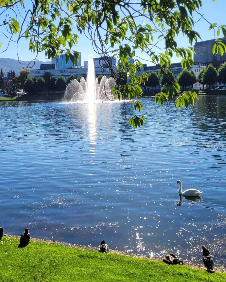 Bergen, Nygård Bergen, Nygård