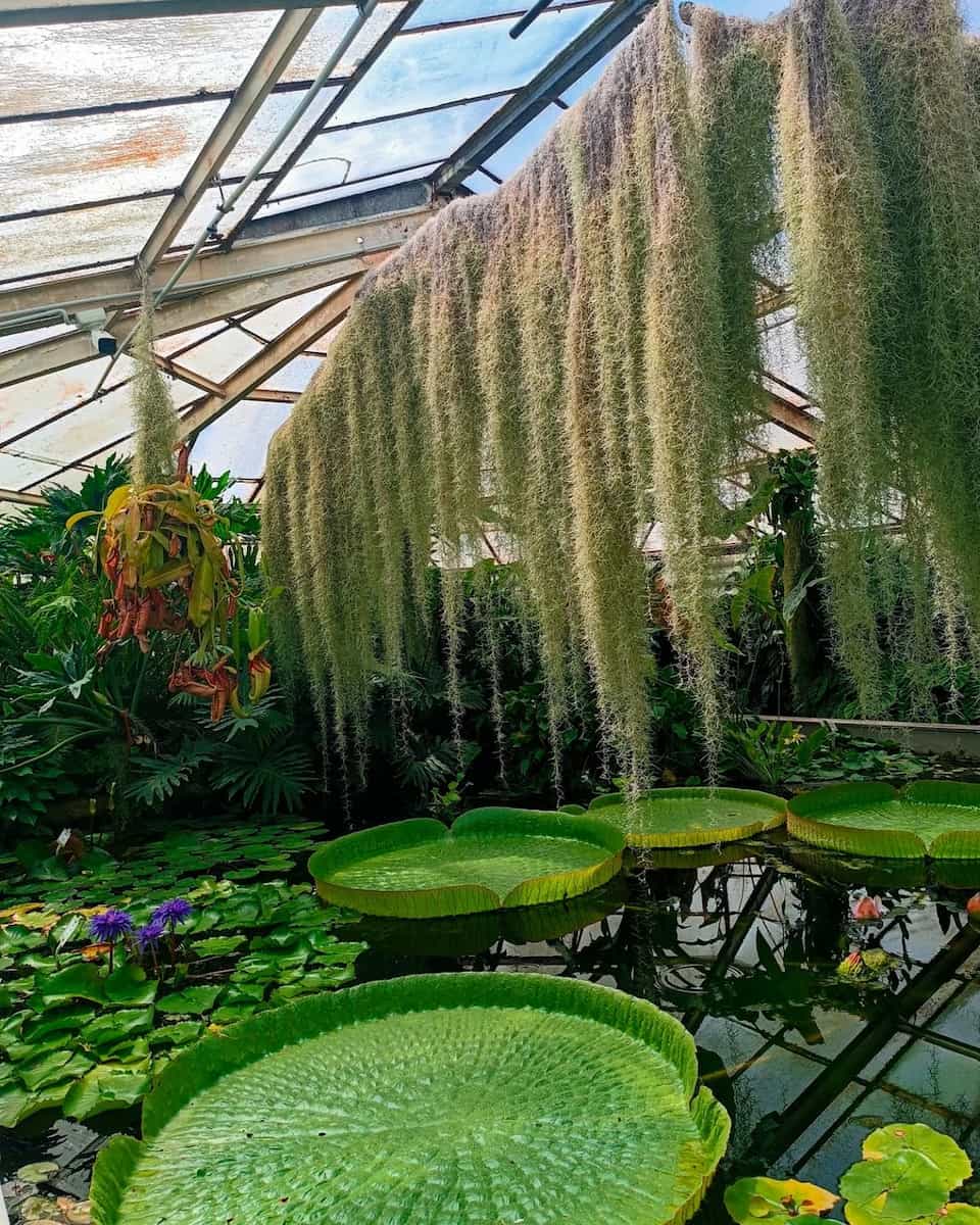 Bratislava, Ružinov Bratislava, Ružinov