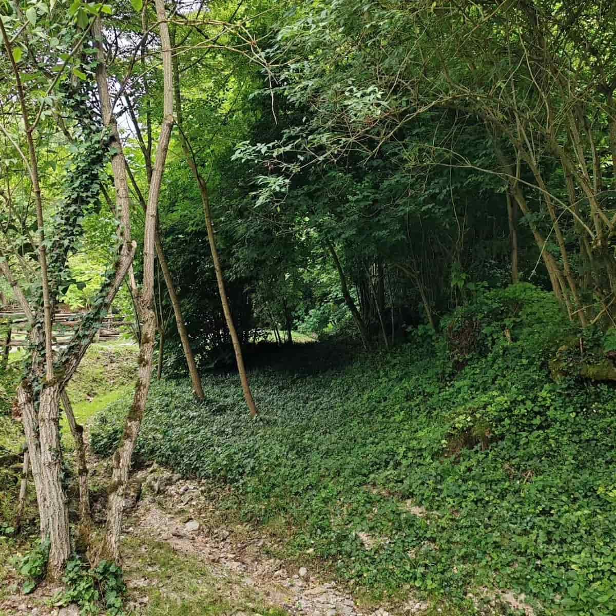Goupillières Troglodyte Valley Azay le Rideau Loire Valley Goupillières Troglodyte Valley Azay le Rideau Loire Valley