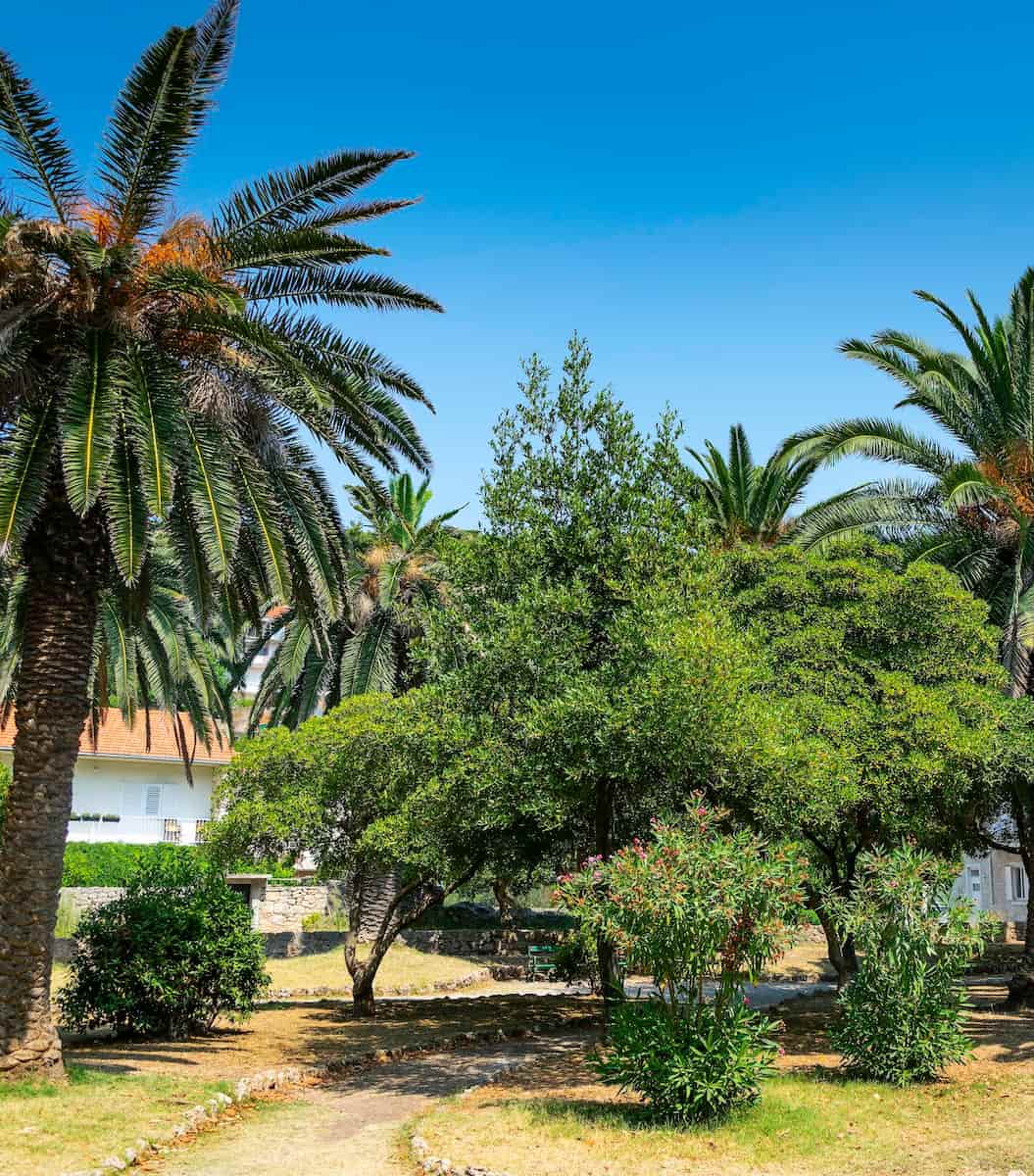 Hvar_Island_Jelsa_Park2 Hvar Island Jelsa Park2 1