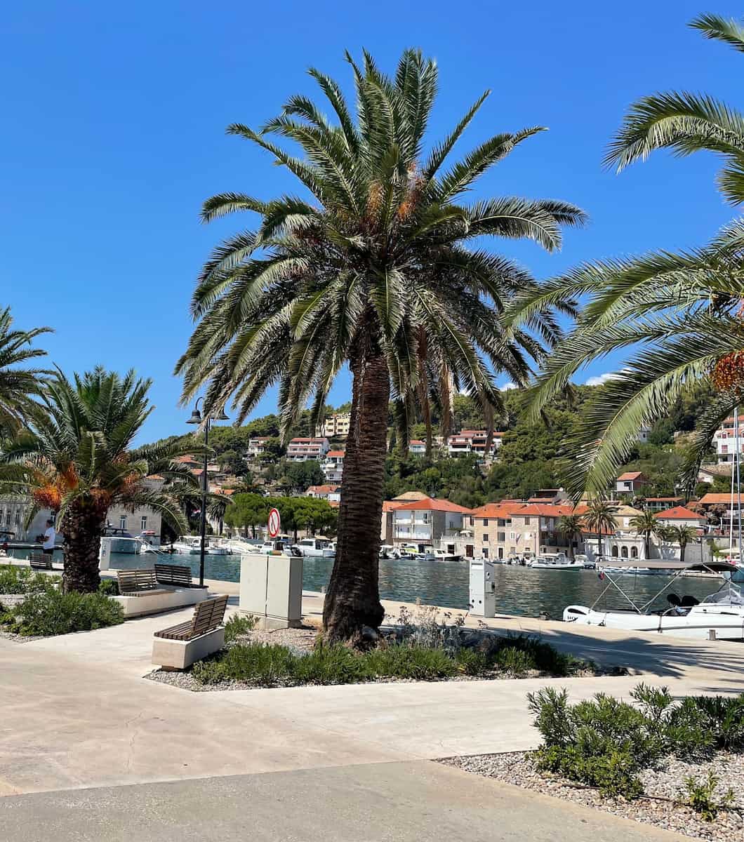 Hvar_Island_Jelsa_Park4 Hvar Island Jelsa Park4 1