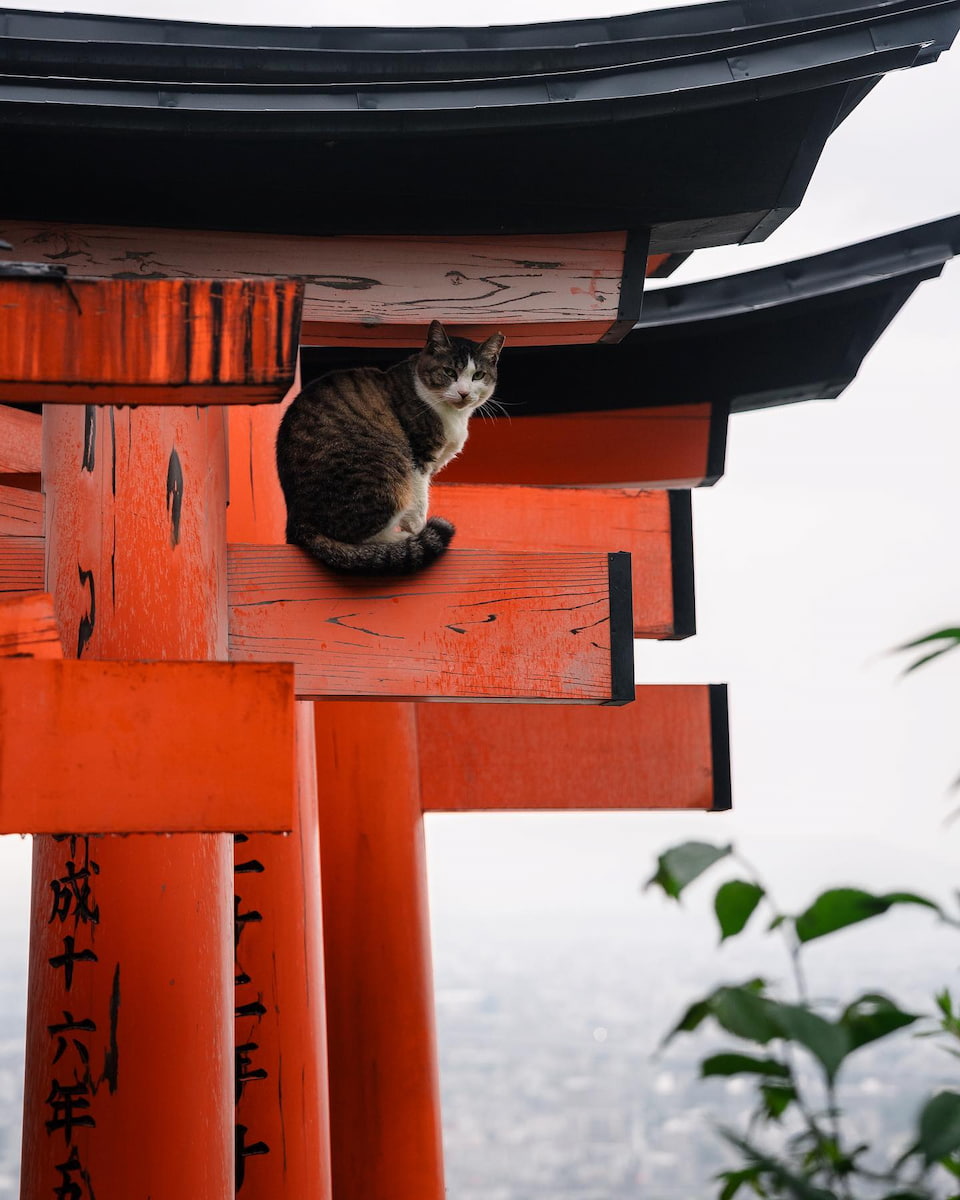 Japan, Chureito Pagoda Japan, Chureito Pagoda