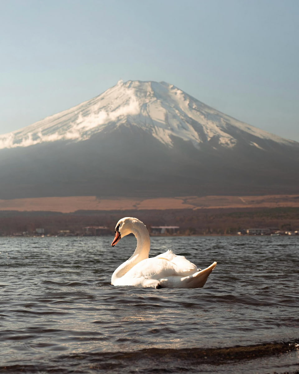 Japan, Mount Fuji Japan, Mount Fuji