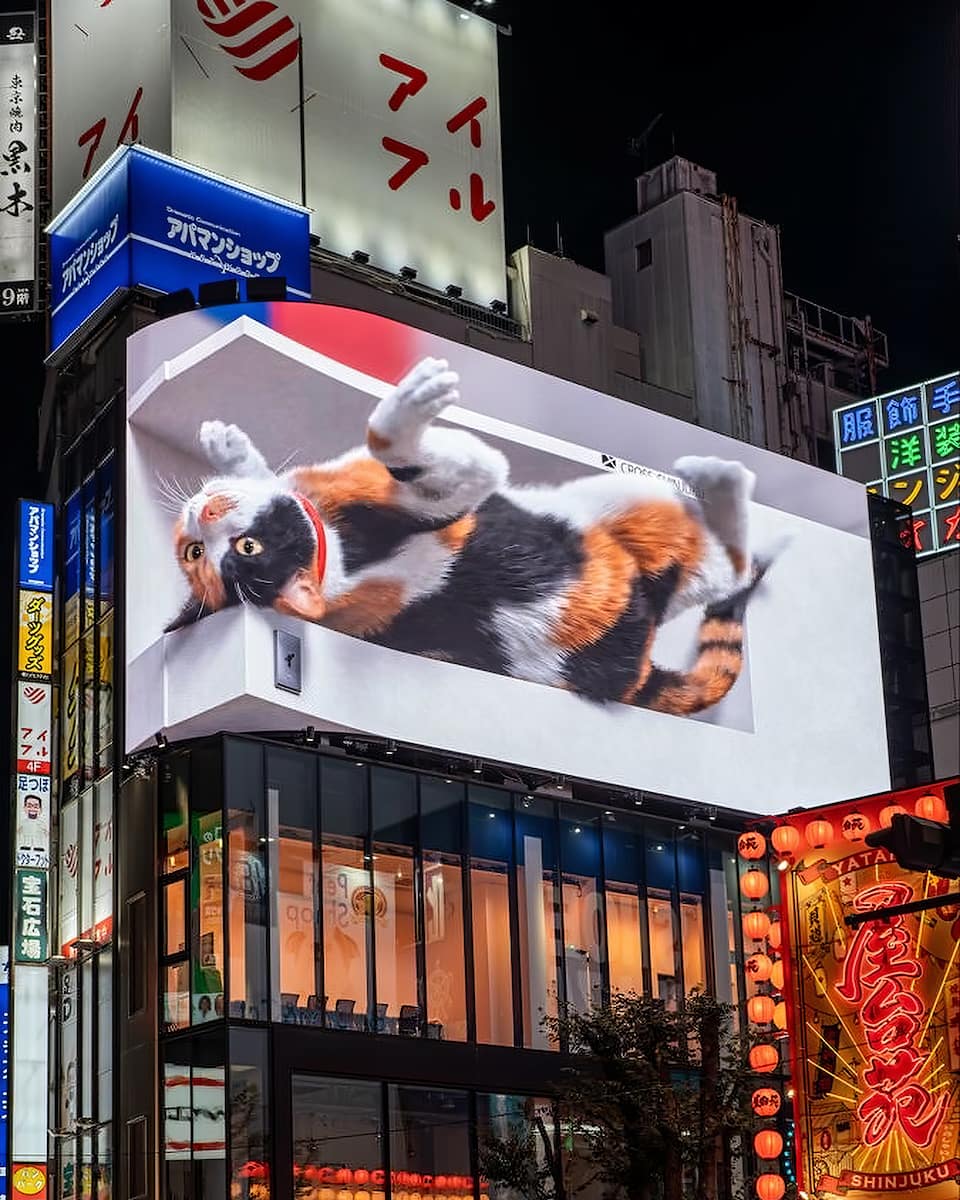 Japan, Tokyo Japan, Tokyo