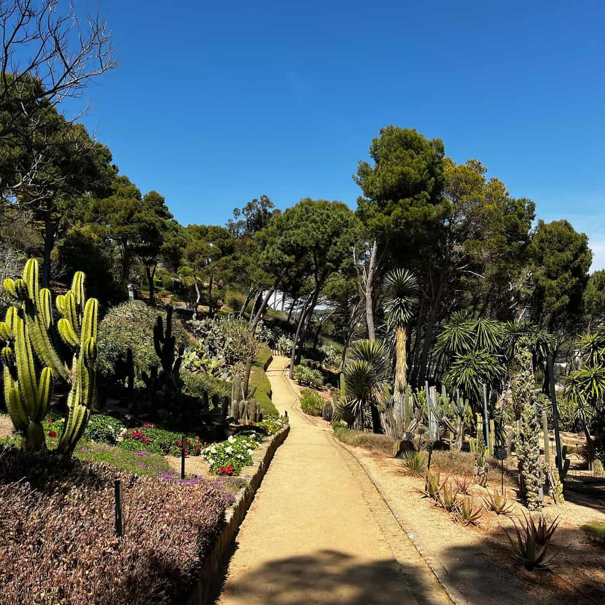 Jardin Botanique Cap Roig Llafranc Costa Brava Jardin Botanique Cap Roig Llafranc Costa Brava