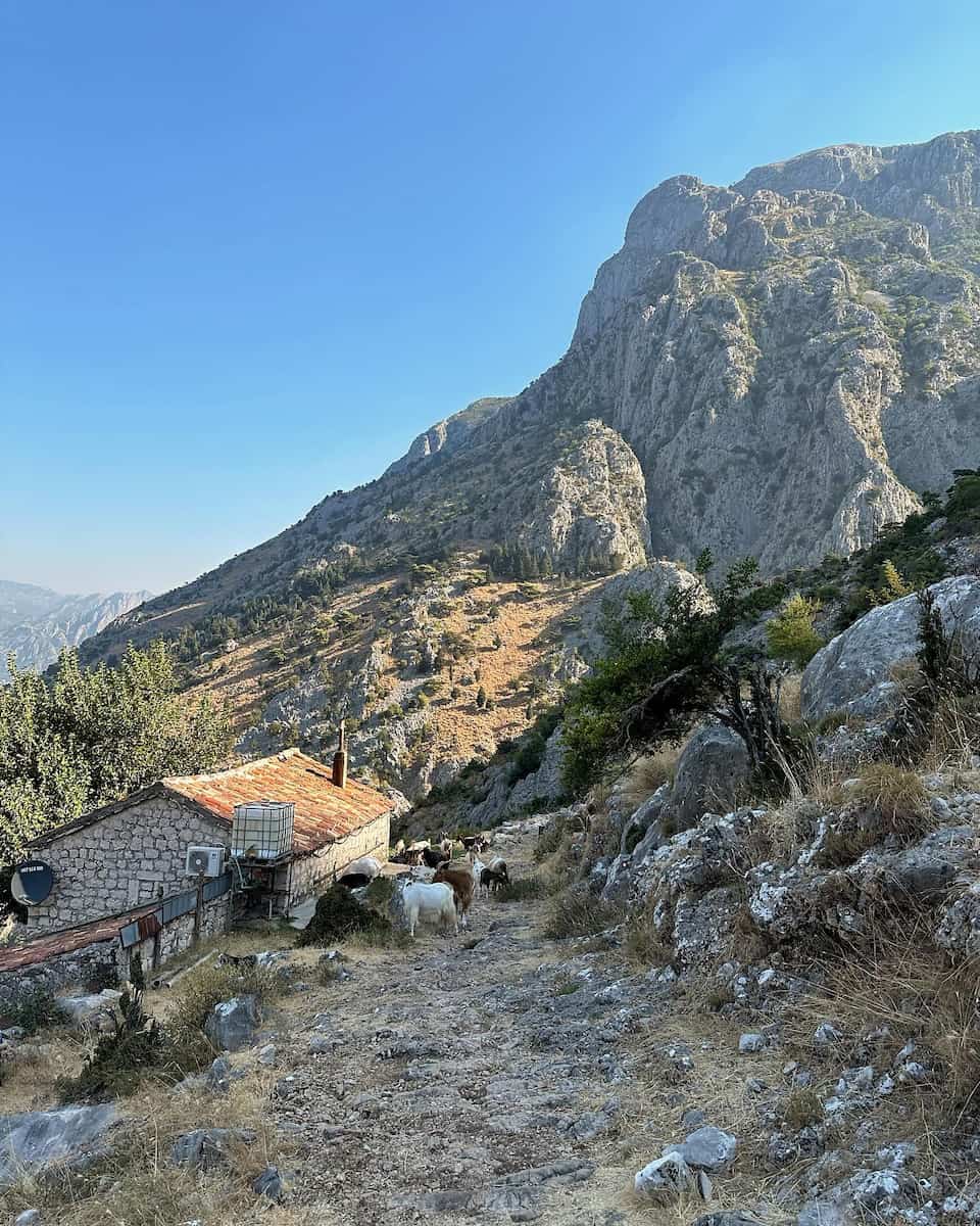 Kotor Bay, Ladder of Kotor Kotor Bay, Ladder of Kotor