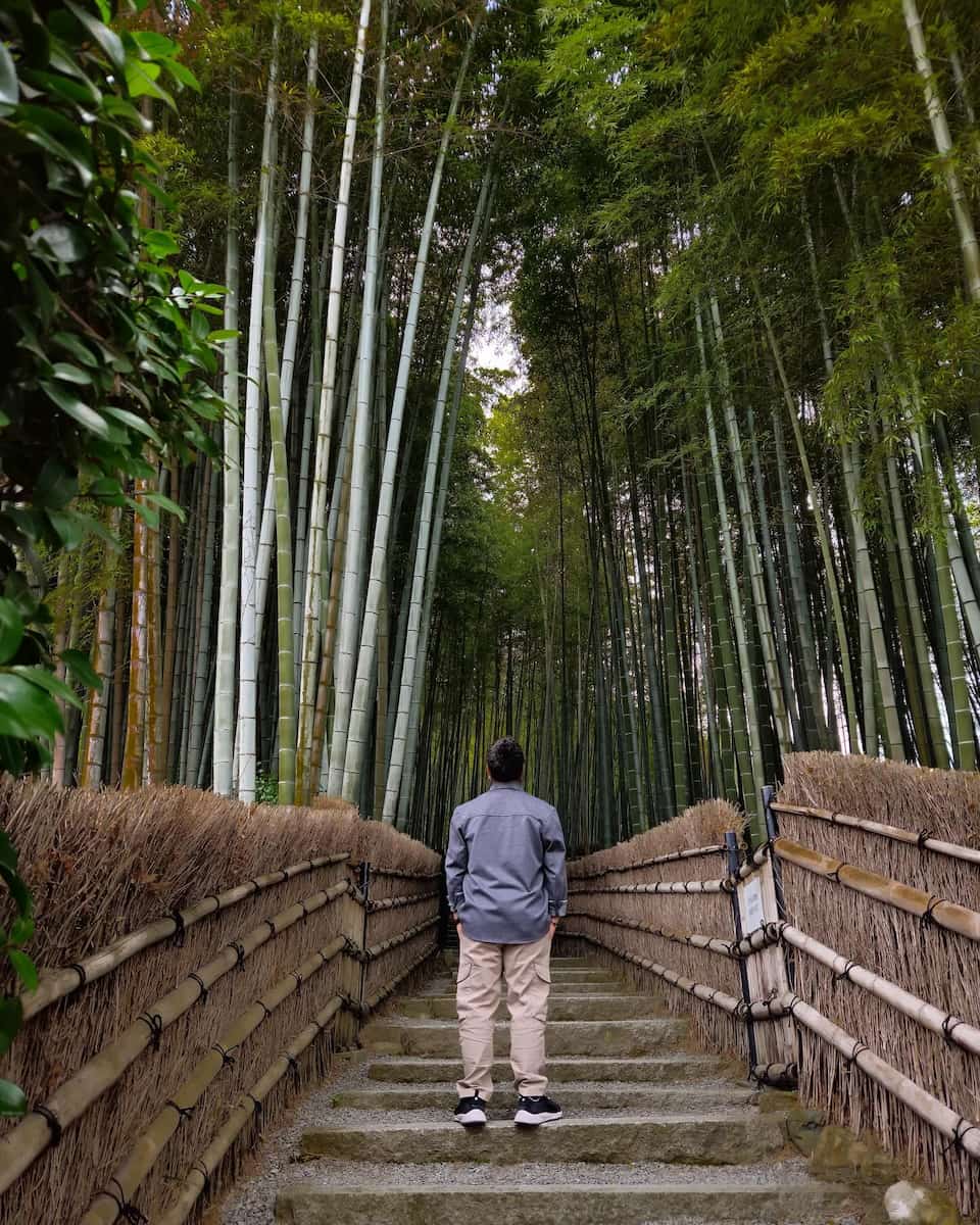 Kioto, Kiyomizu-dera Kyoto, Arashiyama Bamboo Grove