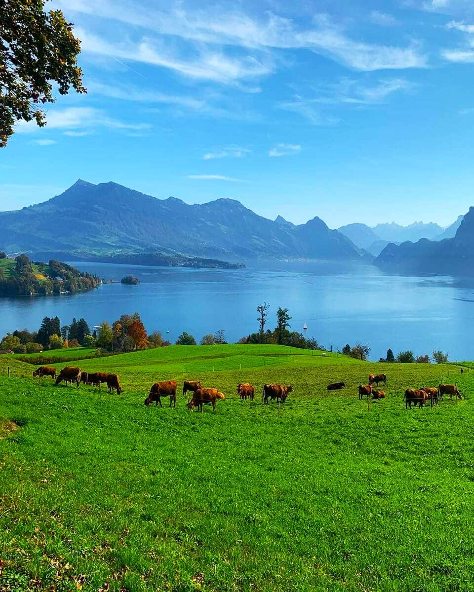 Lucerne, Horw Lucerne, Horw