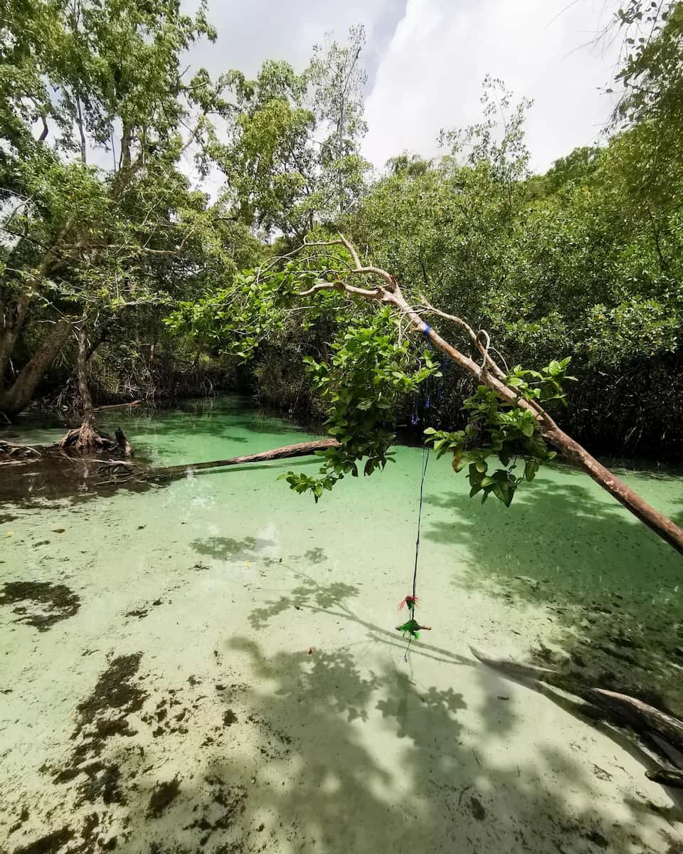 Playa Rincón Samaná Dominican Republic Playa Rincón Samaná Dominican Republic