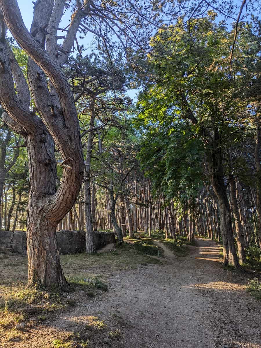 Prčanj, Vrmac Fortress Prčanj, Vrmac Fortress