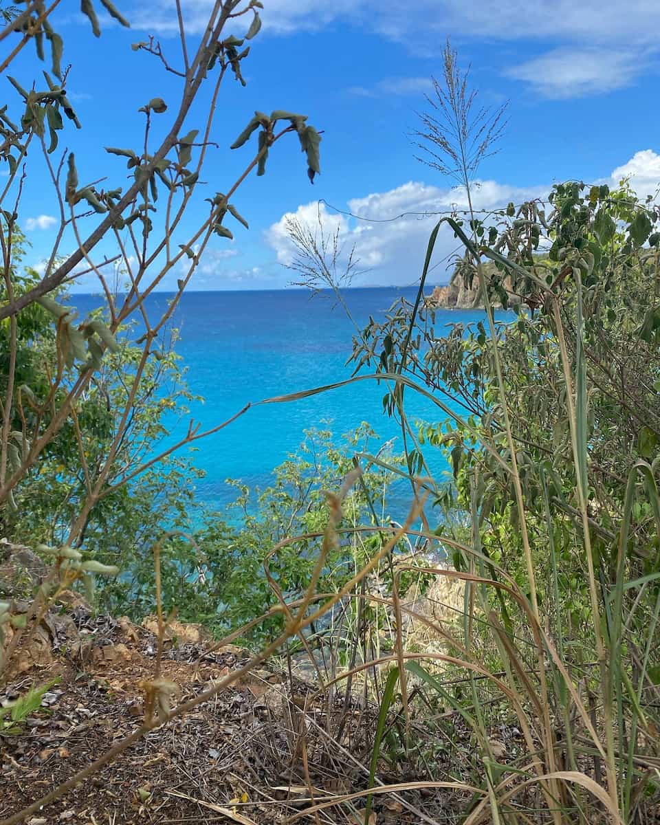 Salt Pond Bay Coral Bay St John USA