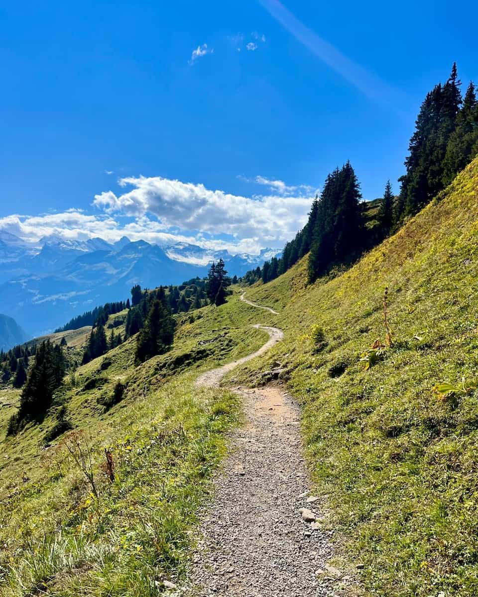 Schynige Platte Jungfrau Region Switzerland Schynige Platte Jungfrau Region Switzerland