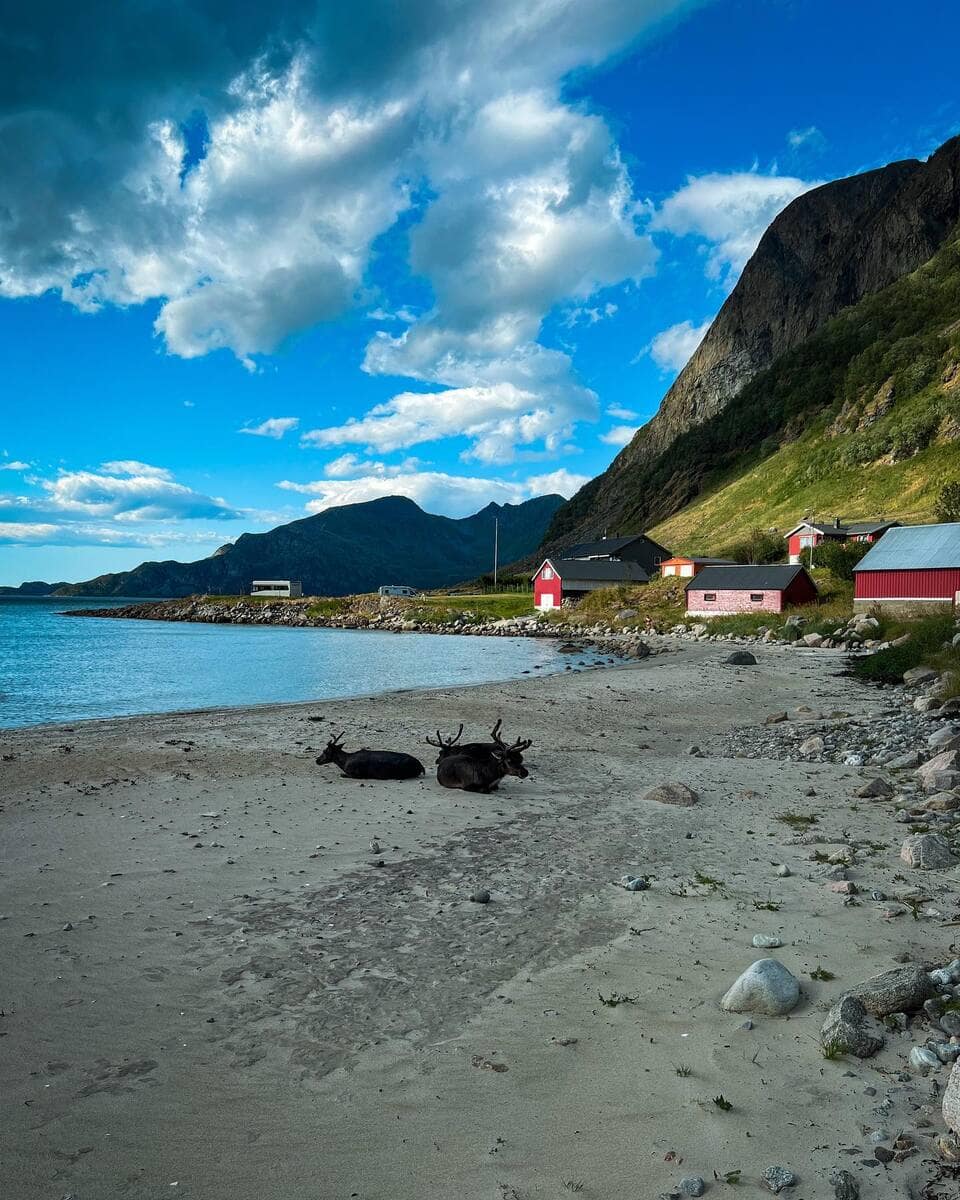 Tromsø, Kvaloya Tromsø, Kvaloya