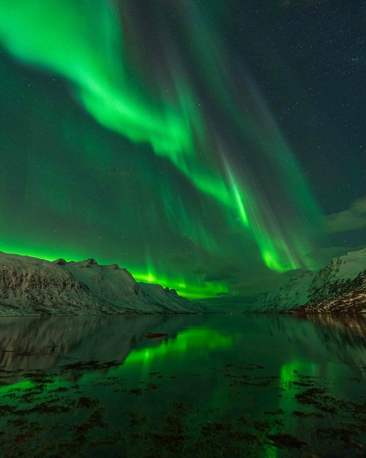 Tromsø, Northern Lights Tromsø, Northern Lights