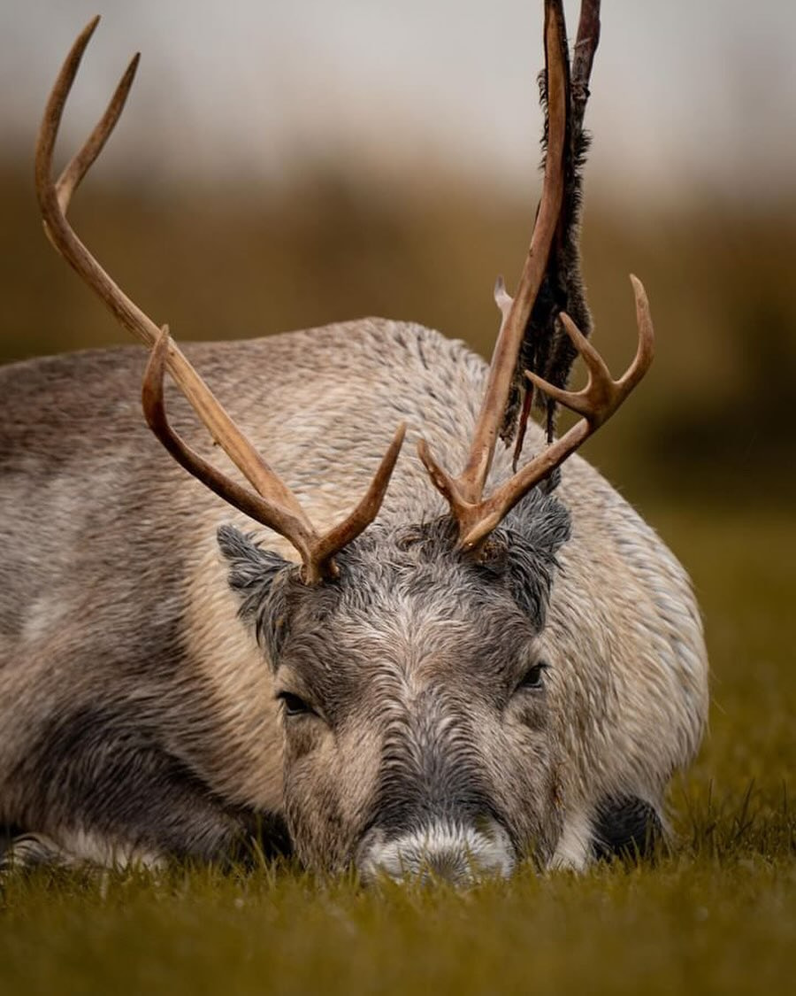 Tromsø, Tromsdalen Tromsø, Tromsdalen