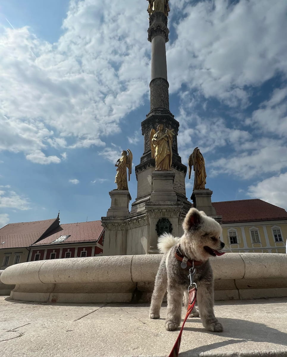 Zagreb_Cathedral6 Zagreb Cathedral6 1 1