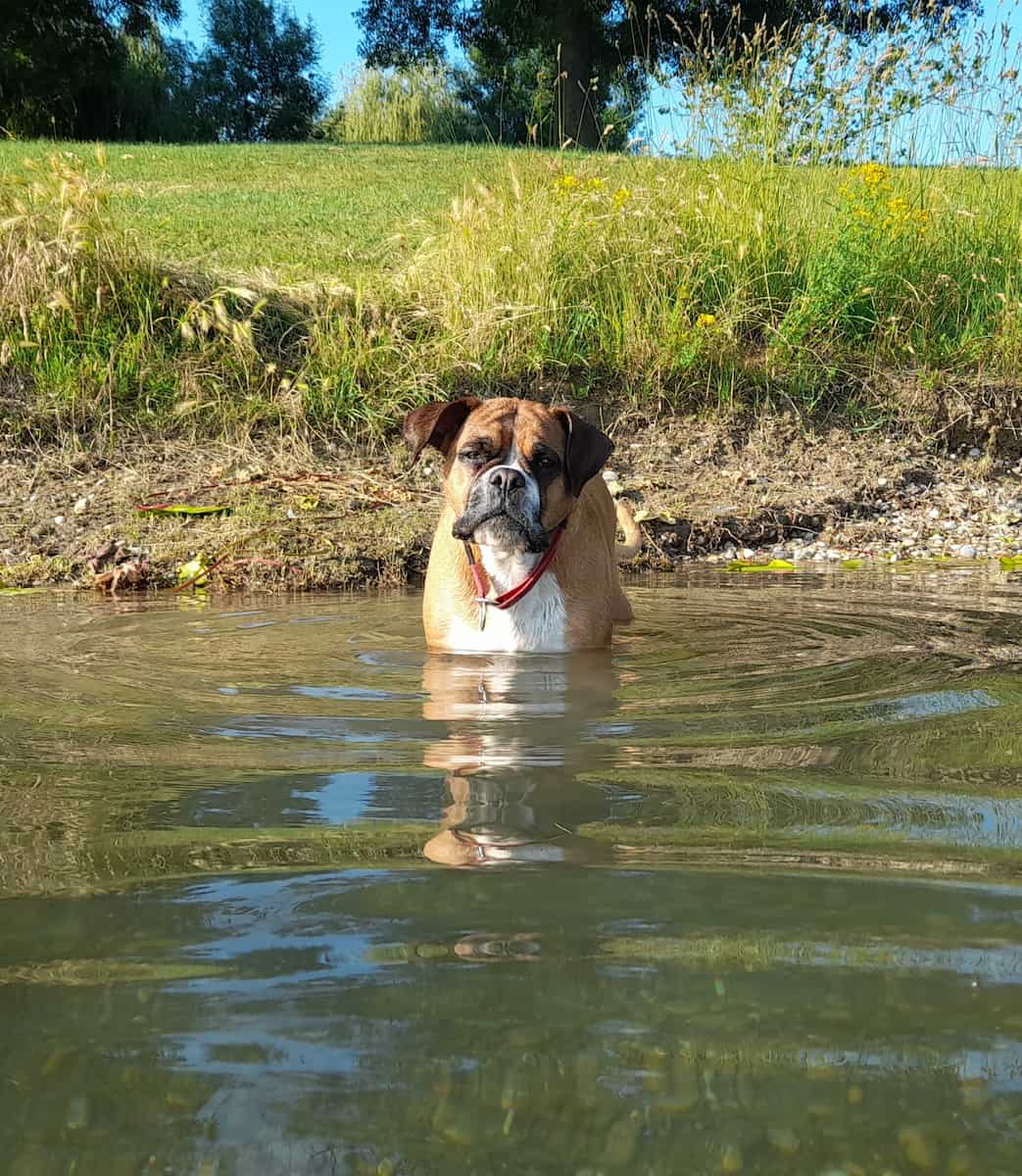 Zagreb, Lago Jarun Zagreb, Lago Jarun