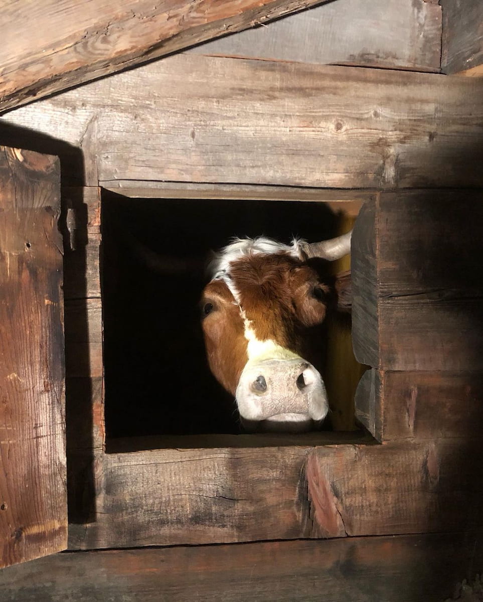 Zermatt, Matterhorn Museum Zermatt, Matterhorn Museum